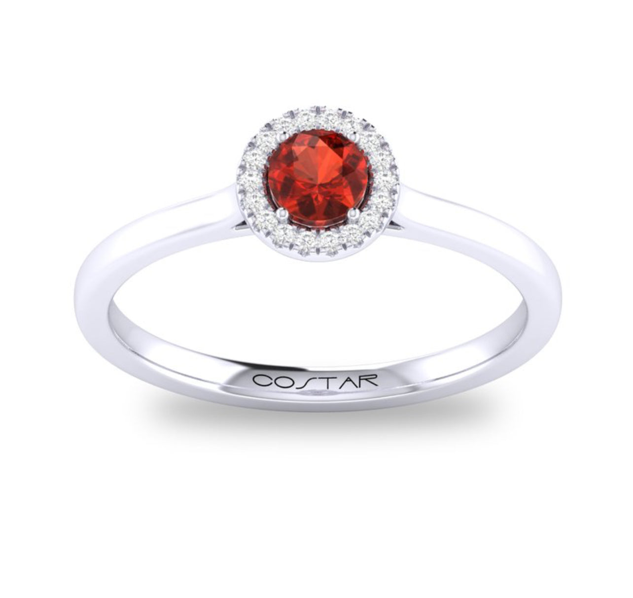 10K or 14K Yellow or White Gold Garnet and Diamond Halo Ring