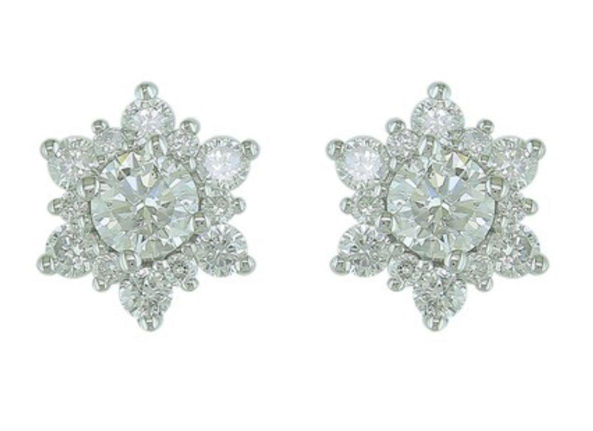 14K White Gold Diamond Earrings with Halo