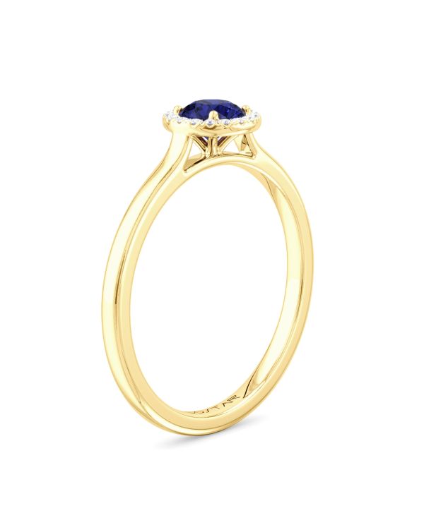 10K or 14K Yellow or White Gold Blue Sapphire and Diamond Halo Ring