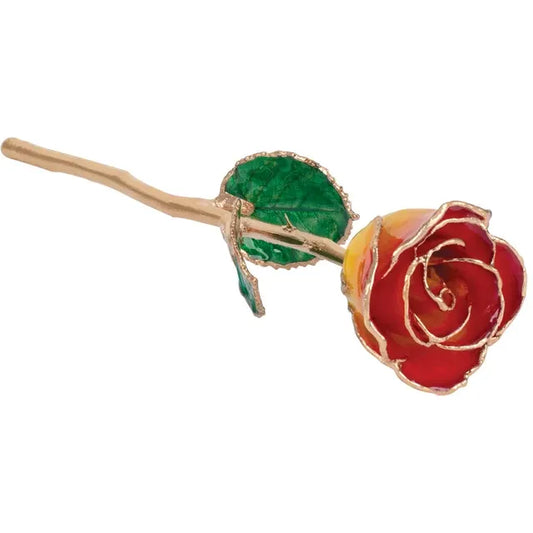 Sunset Yellow and Red Lacquered Dipped Rose with Gold Trim