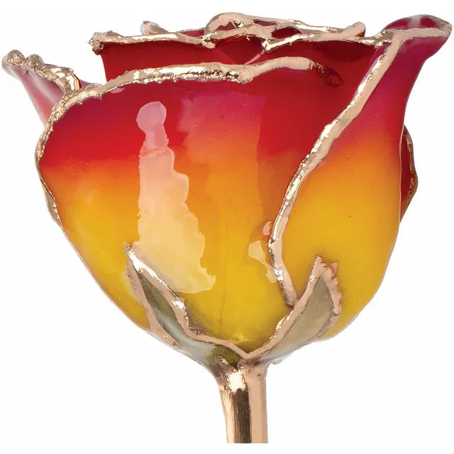Sunset Yellow and Red Lacquered Dipped Rose with Gold Trim