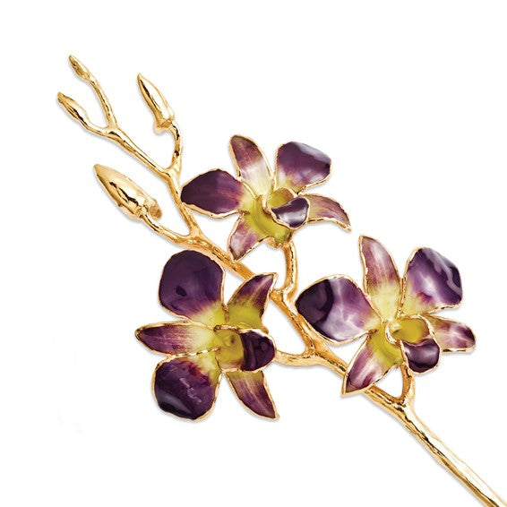 Lacquer Dipped Gold Trimmed Purple/Yellow Real Dendrobium Orchid Stem