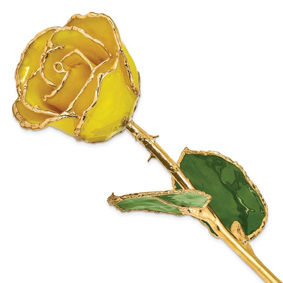 Lacquer Dipped Yellow Rose with 24K Gold Trim